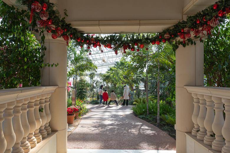 일월수목원 온실은 드라마 '눈물의 여왕'에서 이국적인 분위기의 옥상 정원으로 등장했다.