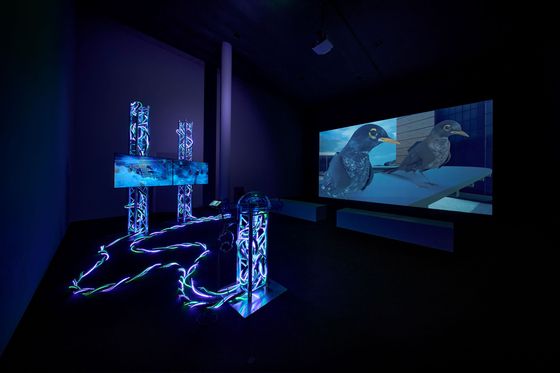 정혜선, 육성민의 영상 설치 작품 '필라 코뮤니타스'. 영상에서 동물들은 기후 변화를 감지하는 능동적인 주체로 그려진다. 인간과 비인간, 그리고 계기가 공생하는 초연결 환경을 탐구한 작품이다. [사진 백남준아트센터]