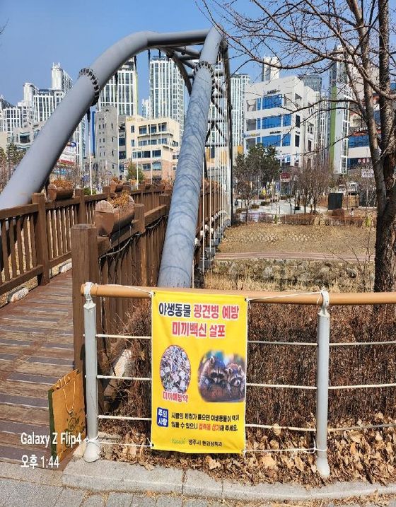 경기 양주시는 지난 10일 주민 밀집 지역이자 너구리가 자주 출몰하는 옥정신도시와 덕정동 일대 아파트단지 인근의 공원 및 산책로 등에 ‘광견병 미끼 예방약’을 살포한 뒤 주의사항을 명기한 현수막을 설치했디. 사진 양주시