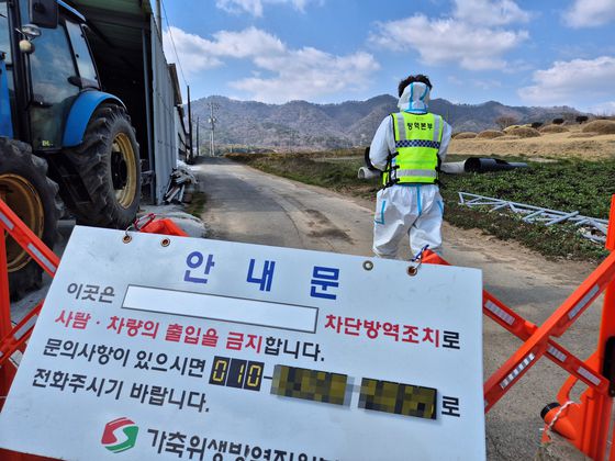 17일 오전 구제역이 발생한 전남 무안군 한 한우 농장에서 방역당국 관계자가 출입 통제 안내판 너머로 이동하고 있다. 황희규 기자