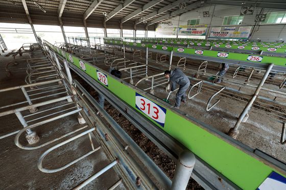 지난 17일 전남 영암 가축경매시장에서 영암축협 직원이 구제역 방역 작업을 하고 있다. 연합뉴스