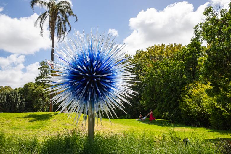 애들레이드 식물원은 오는 4월 29일까지 치훌리의 작품 15점을 전시한다. 최승표 기자