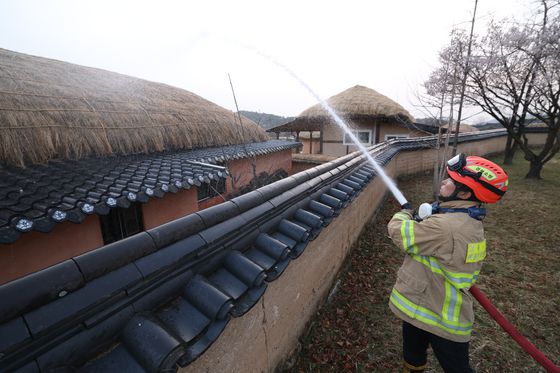 경북 의성군 산불이 나흘째 이어지고 있는 25일 오후 경북 안동시 하회마을에서 관계자들이 화재에 대비해 초가지붕에 물을 뿌리고 있다. [뉴스1]