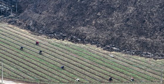 28일 경북 의성군 점곡면 윤암리 한 마늘밭 인근 비탈이 산불에 검게 타 있다. [연합뉴스]