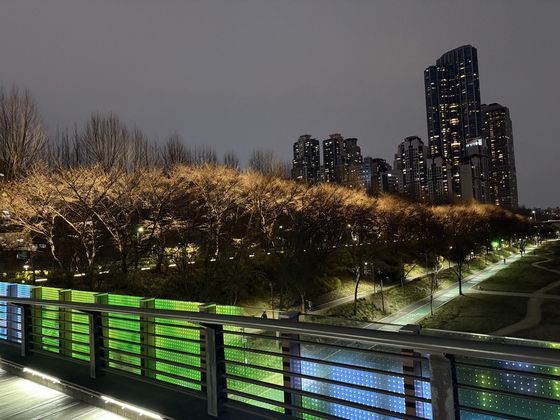 조명으로 물든 양재천 야경. [사진 강남구]