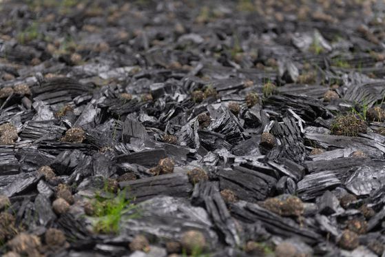 개인전의 제목이기도 한 이진우의 설치 작업 ‘네 번째·물’. 생성과 소멸, 생명 순환의 이야기를 전한다. [사진 리안갤러리]