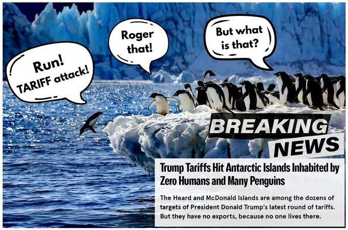 온라인에 올라온 트럼프 '펭귄 관세' 조롱 밈. 사진 류펑위 주미 중국 대사관 대변인 엑스 캡처