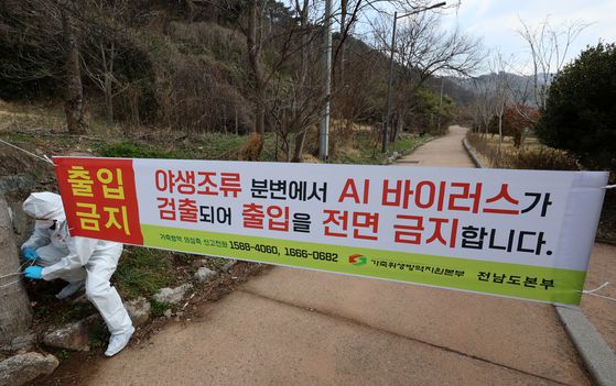 지난달 19일 오전 삵 폐사체에서 H5형 AI 항원 검출된 전남 화순군 화순읍 세량제에서 가축위생방역지원본부 직원들이 출입 금지 안내문을 설치하고 있다. 연합뉴스