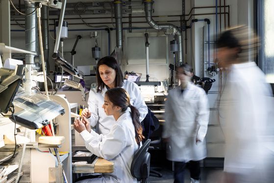 올해 확장과 함께 마니파투라 불가리 내에 설립된 주얼리 교육 기관 스쿠올라 불가리의 학생들. [사진 불가리]