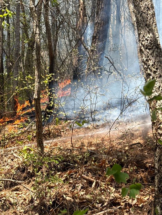 26일 강원도 인제군 상남면 야산에서 산불이 발생해 연기가 나고 있다. 사진 강원도소방본부