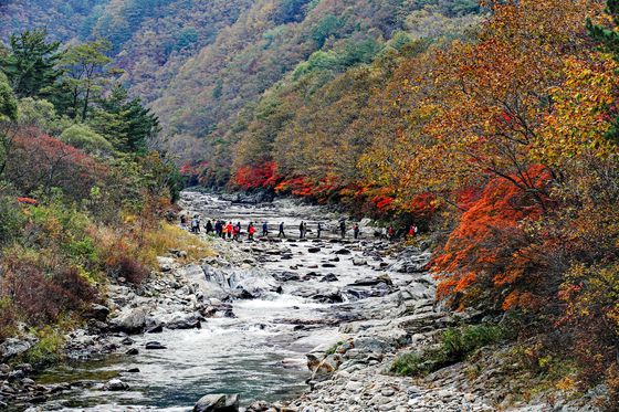 강원 양구군 두타연 모습. [사진 양구군]