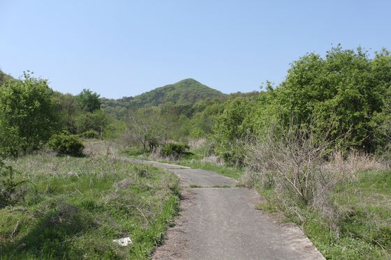 세종시 대통령 제2집무실 예상 부지의 현재 모습. 예전 농로의 흔적이 그대로 남아 있다. 주정완 기자