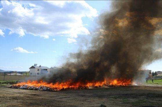 튀르키예 경찰이 압수한 대마초 20톤을 마을 공터에서 소각했다. 사진 홈페이지 캡처