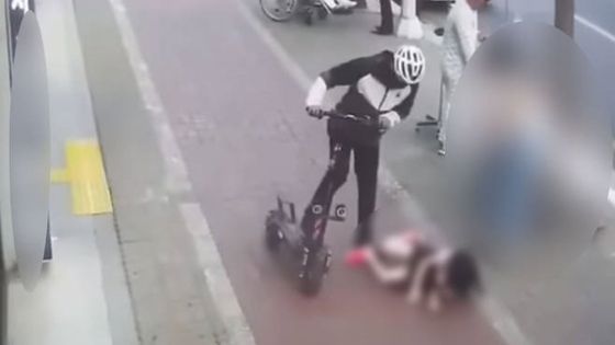 킥라니 이미지. [중앙포토]