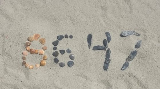 제임스 코미 전 미국 연방수사국(FBI) 국장이 지난 15일 자신의 인스타그램 계정에 올린 사진. 숫자 ‘8647’이 도널드 트럼프 대통령 암살을 선동한다는 논란에 휩싸이자 코미 전 국장은 이 사진을 삭제했지만, 16일 비밀경호국(SS)으로부터 조사를 받았다. 사진 인스타그램