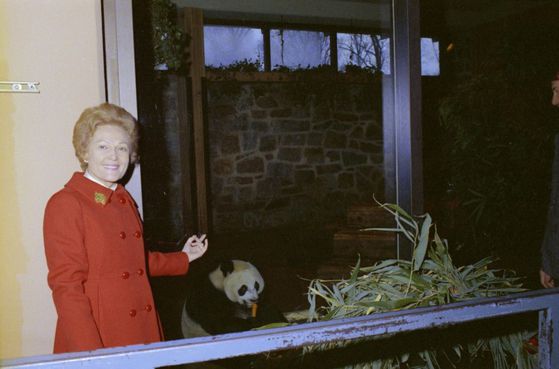 리처드 닉슨의 부인 팻 닉슨이 워싱턴 국립동물원에서 저우언라이 당시 중국 공산당 총리로부터 받은 자이언트 판다 앞에서 기념사진을 촬영하고 있다. 사진 닉슨 재단
