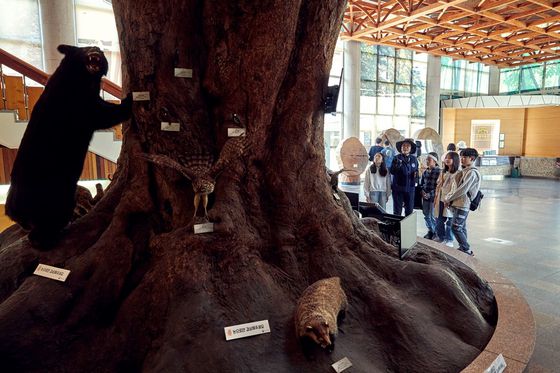 소중 학생기자단이 광릉숲 내에서 생태·환경교육을 담당하는 중요 시설인 산림박물관을 방문했다.