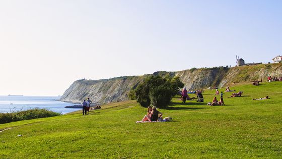 아리구나가 해변. 잔디밭에 널브러져 휴식을 취하기 좋다.