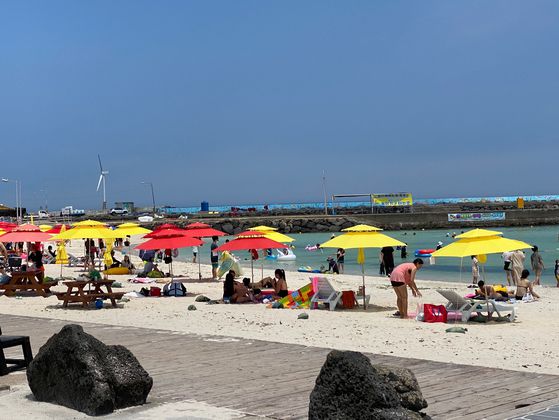 지난 여름 제주 월정해수욕장에서 파라솔을 대여해 물놀이를 즐기고 있는 관광객들. 최충일 기자