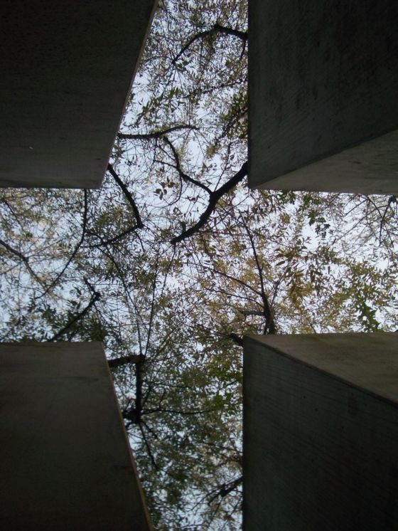 오정근은 유대인박물관에서 하늘을 보고 찍은 사진. [사진 조은숙갤러리·오정근]