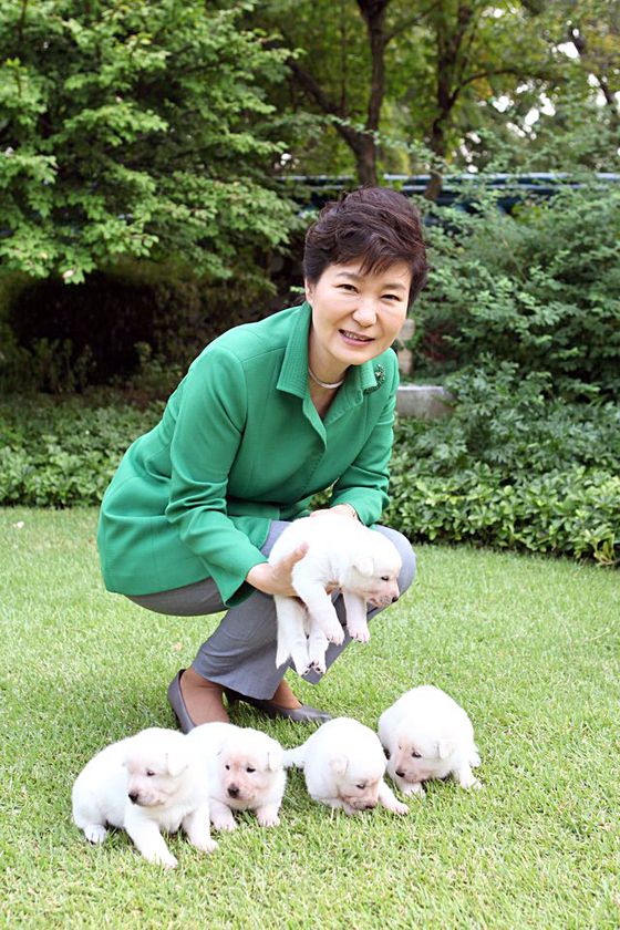 “대통령이 관저에서 키우는 개가 알아봐야 실세”라는 말이 돌 정도로 관저는 ‘궁궐 속의 궁궐’이었다. [중앙포토]