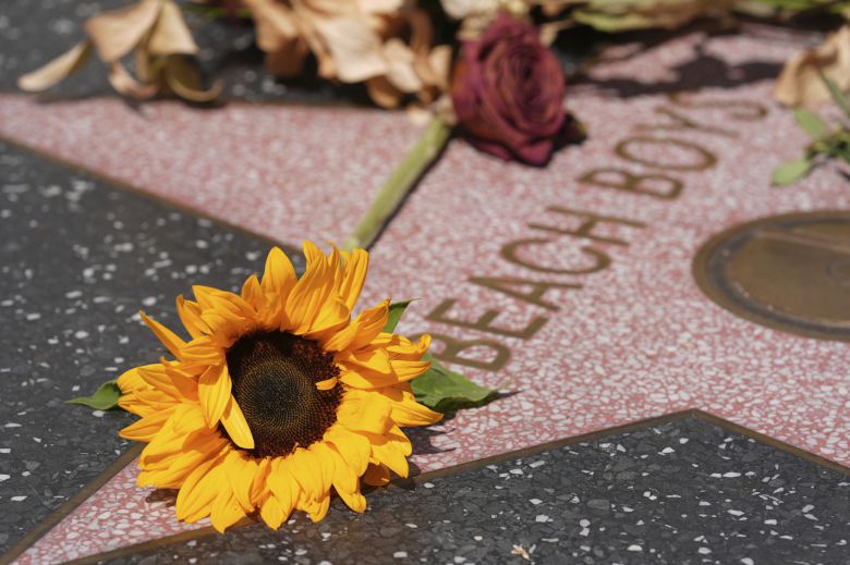 지난 11일(현지시간) 미국 로스앤젤레스에서 밴드의 메인 작곡가 브라이언 윌슨이 82세로 사망했다는 발표가 나온 뒤 할리우드 명예의 거리에 있는 ‘비치보이스’의 바닥 별 모양 대리석 위에 해바라기가 놓여 있다. AP=연합뉴스