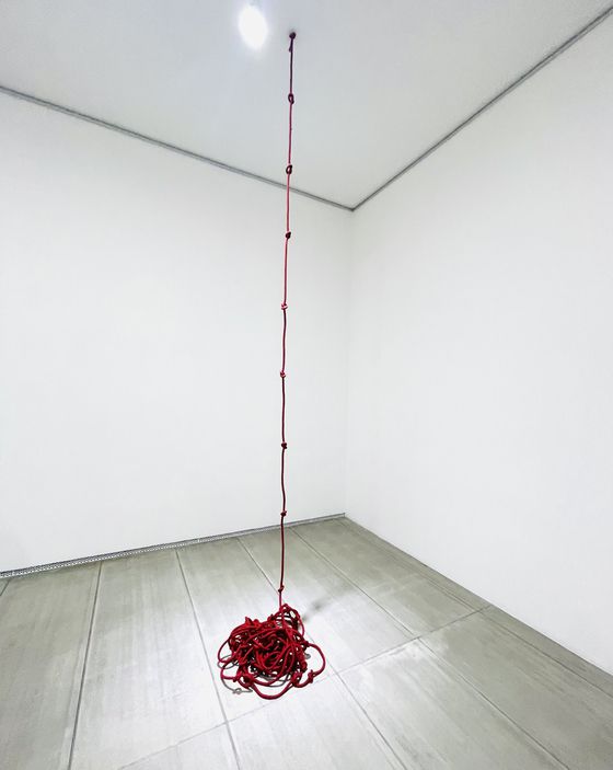 클로드 비알라, 1971/C14, 밧줄에 염색, 2420x3cm. [사진 이은주 문화선임기자]