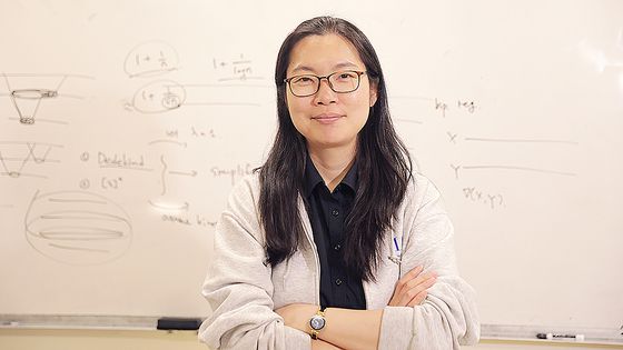 ● 1982년생 ●서울대 수학교육과 학사 ●미 럿거스대학교 수학 박사 ●프린스턴 고등연구소 연구원(2020~2021) ● 스탠퍼드대 연구교수(2021~2022) ●뉴욕대 조교수(2023~) ●마리암미르자카니 뉴 프런티어 상(2023년) ●슬론 리서치 펠로십, 데네스쾨니히 상(2024년)