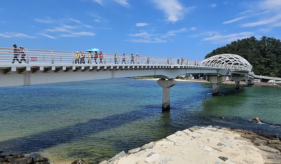 14일 열린 강릉 트레일 페스타에서 남항진 솔바람다리를 건너고 있는 참가자들. 손민호 기자