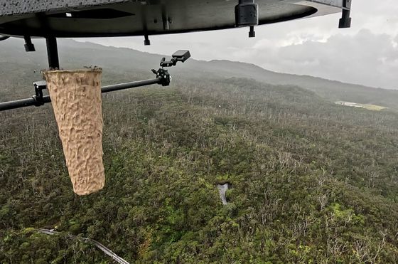모기가 담긴 원통형의 종이 함이 드론에서 지상으로 떨어지고 있다. 하와이 환경단체 제공