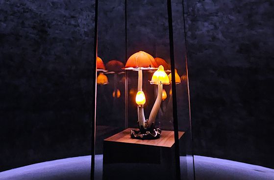 유민 아르누보 뮤지엄에서 전시 중인 유럽 유리공예 작품. 에밀 갈레의 '버섯램프'다. 손민호 기자