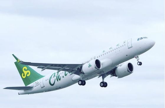 사진 스프링에어 SNS