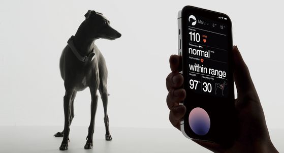 생체 데이터를 분석한 케어식스의 ‘센스 1 벳(Sense 1 Vet)’. [사진 각사]