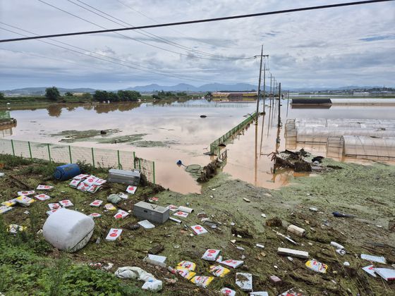충남 예산군 삽교육 하포2리 농경지가 대부분이 침수됐다. 최종권 기자