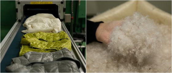 컨베이어 벨트에 놓인 다운 재킷은 절단과 분류 작업을 거쳐 깃털만 추출된다. 사진 유니클로