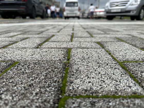 서울시 송파구 풍납동의 한 이면도로에 설치된 투수블록. 천권필 기자