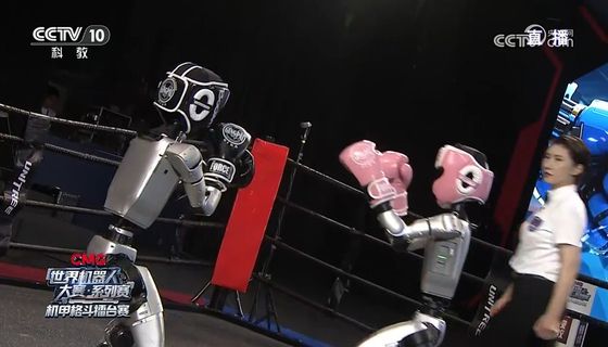 유니트리 로봇 격투기 대회. CC-TV 캡처