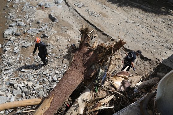 21일 경기도 가평군 수해현장에서 경찰 관계자와 체취 증거견이 캠핑장에서 실종된 일가족을 수색하고 있다. 전민규 기자