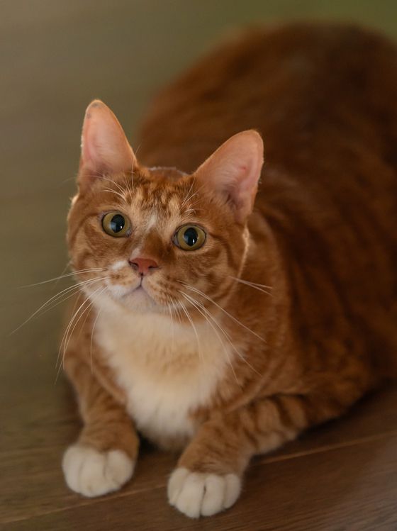 영화 '좀비딸'의 신스틸러 애용이. 사진 NEW