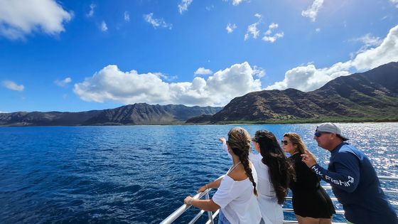 돌고래 탐방선을 타고 푸른 태평양을 가로질렀다.