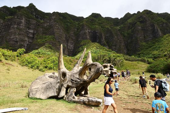 영화에 쓰였던 공룡 뼈 모형이 남아 있다. 카아아와 밸리의 인기 포토존이다.