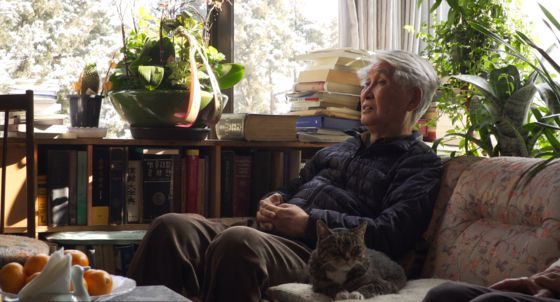 길냥이를 소중히 보살피고, 아침에 신문을 줍는 일로 하루를 시작하고, 가족과 시간을 보내는 ‘인간 김우창’의 삶이 영화에 담겼다. [사진 영화사 시월]