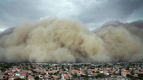 지난 25일(현지시간) 미국 애리조나주 피닉스 스카이하버 국제공항에 모래폭풍이 덮쳤다. AFP=연합뉴스