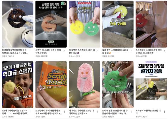 유튜브 숏츠에 올라온 스크럽대디 제품 관련 후기 및 자발적 바이럴 영상. 유튜브 캡처