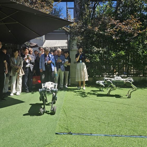 딥로보틱스의 4족 로봇 움직임을 보는 평화 오디세이 참가자들. 김동호 기자