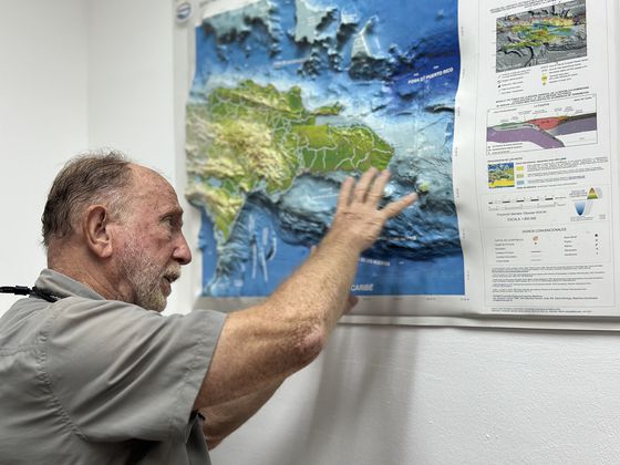 도미니카공화국 푼타카나 인근 바다에 떠다니는 모자반을 건져 올린 모습. 천권필 기자