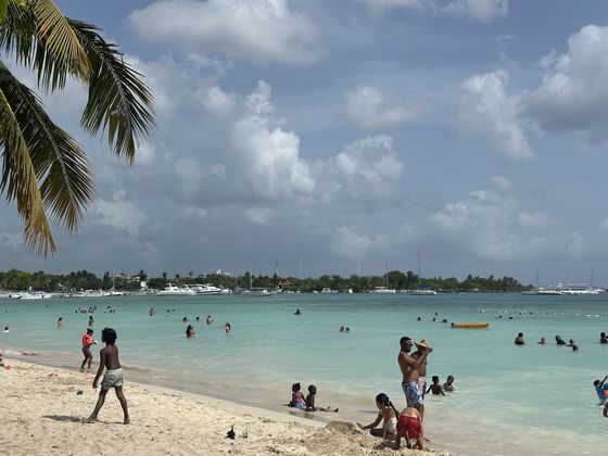 도미니카공화국의 에메랄드빛 해변과 모자반이 유입된 해변이 대비되고 있다. 천권필 기자