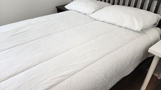 미 이민당국의 대규모 단속을 이뤄진 미국 조지아주 엘라벨 현대차-LG에너지솔루션 공장 인근에 있는 게스트하우스의 재떨이에 한국산 담배 꽁초가 놓여 있다. 이곳에 있다 체포된 근로자들이 단기간 머물렀음을 의미한다. 서배나=강태화 특파원