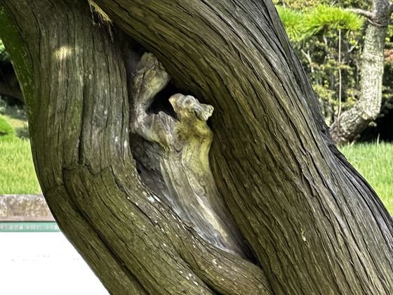 성주엽 생각하는 정원 대표이사가 지난 8월 25일 정원을 안내하고 있다. 최충일 기자