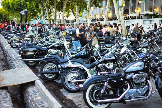 남미 각지에서 온 할리 데이비드슨 라이더들.